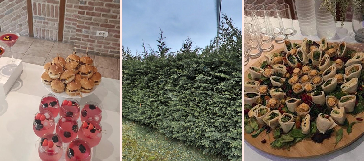 Salon des Orchidees - Photo 2